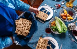 pesach tips article