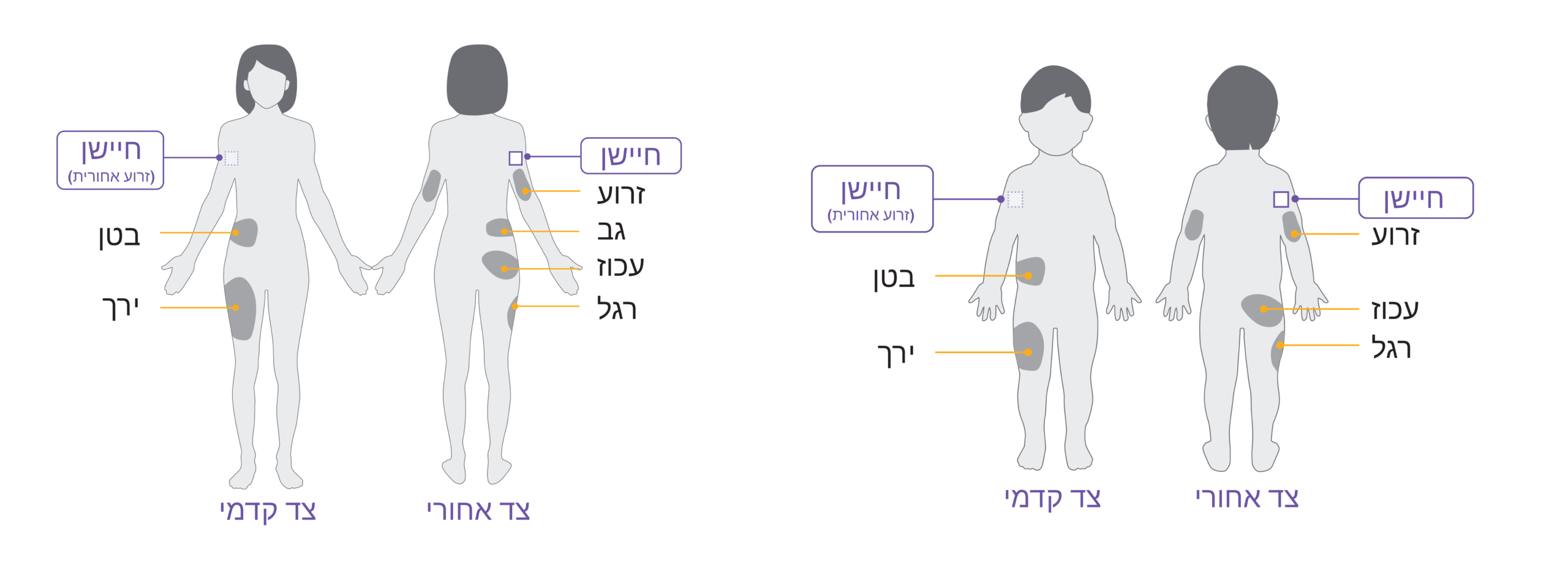 adult + child diagram
